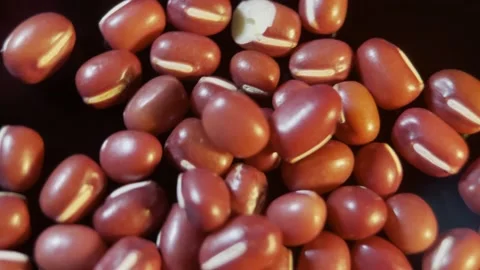 Red beans, red beans, coarse grains and miscellaneous grains (7) Stock Footage 202234793