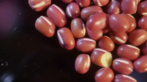 Red beans, red beans, coarse grains and miscellaneous grains (6) Stock Footage 202234795