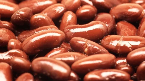 Red beans on rotating stand in UHD Stockbeeldmateriaal 95316580