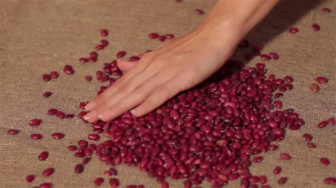 Red beans smooth out on burlap. harvesting. smooth out hands Stock Footage 66765983