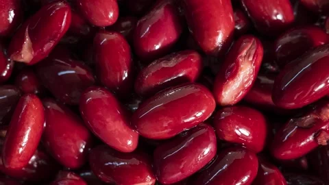 Red Beans Texture Close Up Stock Footage 344571223