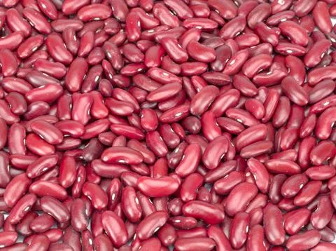 Red beans on a total pace Stock Photos