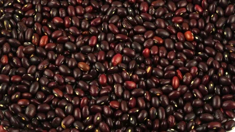 Red beans.Beans closeup.Turn in a circle.Oval,bright grain. 스톡 동영상 127741892
