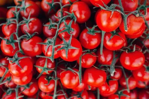 Red beautiful tomatoes background Stock Photos