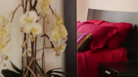 Red bed Stock Footage 77050785