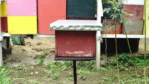 A red beehive with a metallic lid stands outdoors on a metal pole surrounded by Stock Footage 346396139