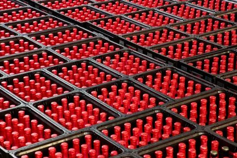 Red Beer Bottles Stock Photos