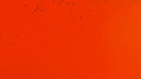 Red beer macro bubbles Stockbeeldmateriaal 242271050