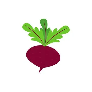 Red beet with leaves. Vector icon and clipart. Illustration on white background. Stock Illustration