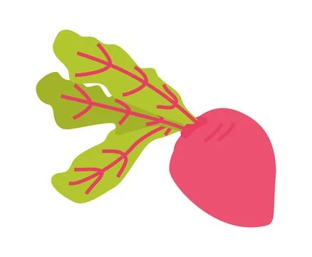 Red beet root illustration. Beetroot vector flat icon. Healthy food concept Stockillustratie