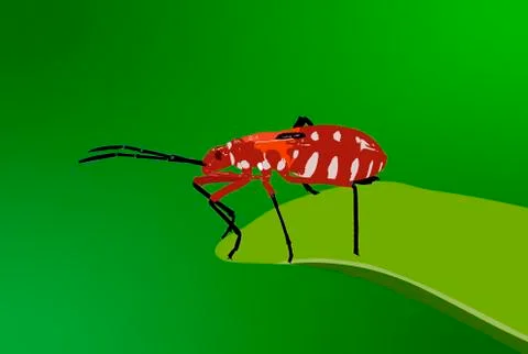 Red beetle イラスト素材