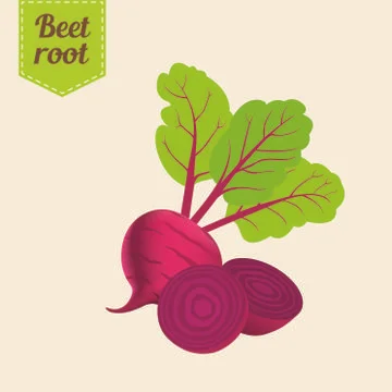 Red beetroot and half slide with leaves on retro background Stock Illustration