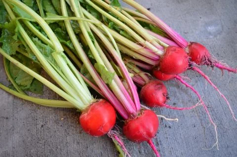 Red Beetroot with herbage green leaves on rustic background. Organic Beetroot Stock Photos