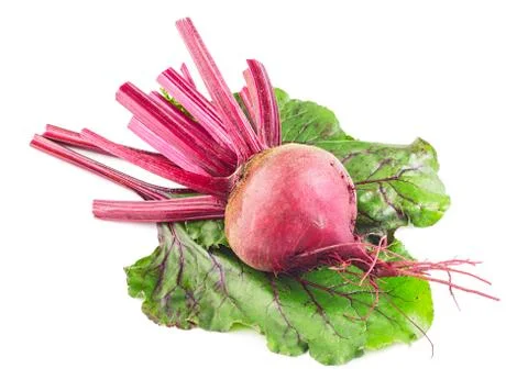 Red beetroot isolated on white Stock Photos