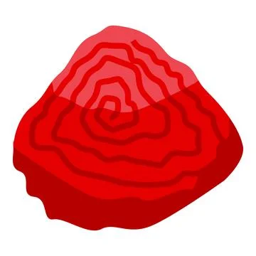 Red beetroot slice showing concentric circles inside Illustrazione stock