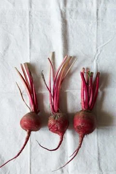 Red beetroot on a table covered with a white tablecloth Stock Photos