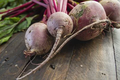 Red beetroots Stock Photos