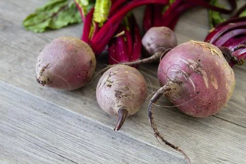 Red beetroots Stock Photos
