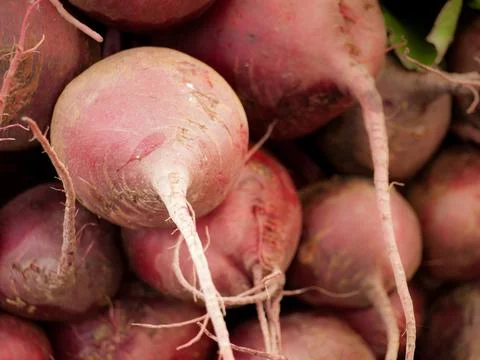 Red Beets Stock Photos