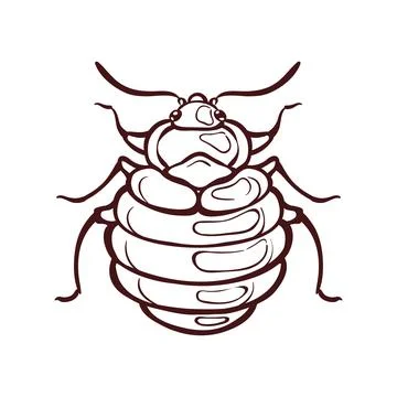 Red begbug, macro vector illustration in cartoon Stock Illustration