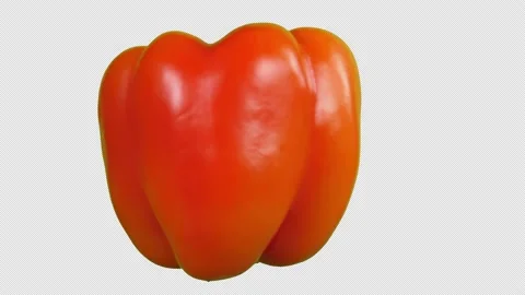 Red bell pepper (alpha channel) 動画素材 235826518