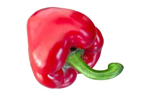 Red bell pepper Capsicum annuum ripe vegetable with green stem isolated on .. 스톡 사진