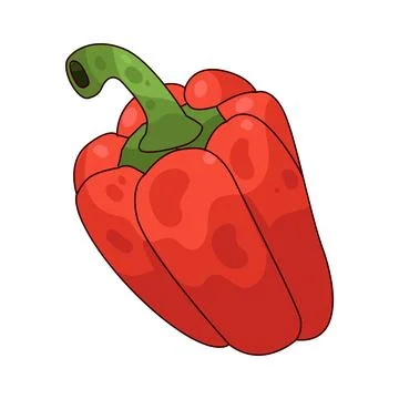 Red Bell Pepper illustration Stock Illustration