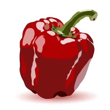 Red bell pepper, isolated vector illustration on white background. Fresh sw.. Ilustración de archivo
