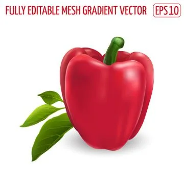 Red bell pepper with leaves on white background. Stock Illustration