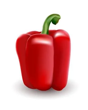 Red bell pepper. Paprika. Vector illustration executed in a realistic manner. Stock Illustration