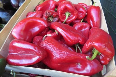 Red bell pepper (red bulgarian pepper) Stock Photos