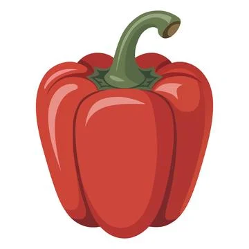 Red Bell Pepper Vector Illustration Fresh Organic Capsicum Vegetable Icon Stock Illustration
