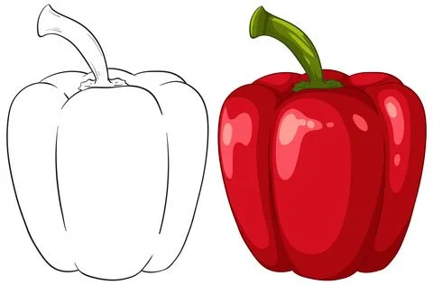 Red Bell Pepper Vector Illustration with Line Art Outline Version Stock Illustration