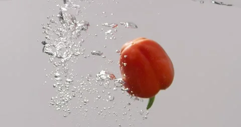 Red bell pepper in the water Stock Footage 148821777