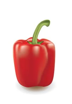 Red bell pepper on white background Stock Illustration