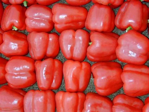Red bell peppers Stock Photos