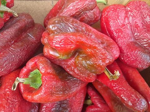 Red bell peppers vegetable raw food photography Stock Photos