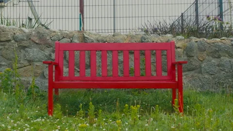 Red bench 動画素材 205214629
