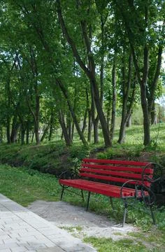 Red bench in the park Stock Photos