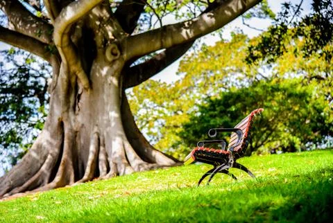 Red bench in the park1 Stock Photos