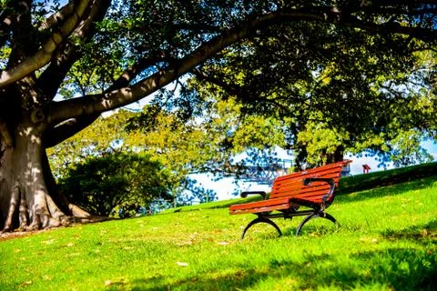 Red bench in the park2 Stock Photos