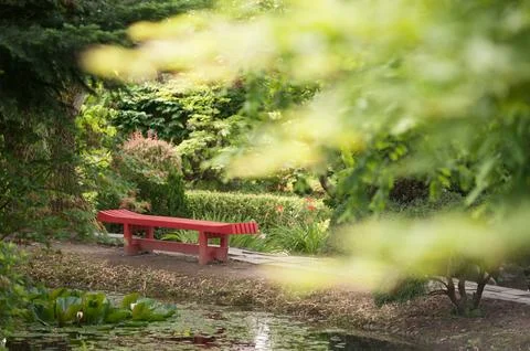 Red Bench in a Serene Garden Setting Stock Photos