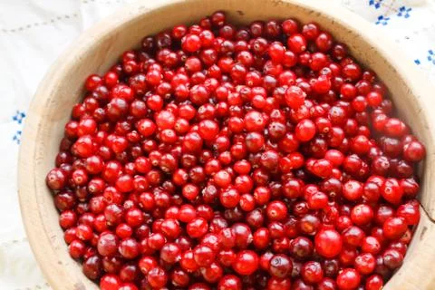 Red berries close-up Stock Photos