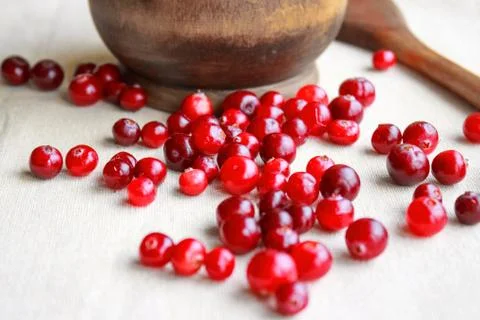 Red berries close-up Stock Photos