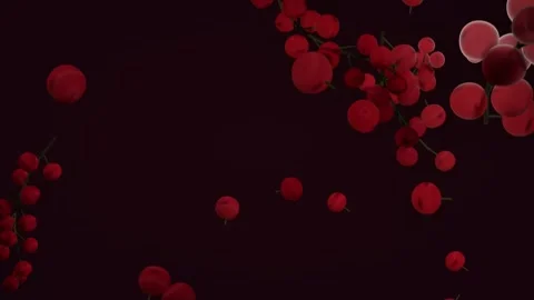 Red berries on dark maroon background with ripe cranberries. 3d rendering Stock Footage 341550260