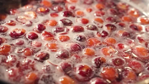 Red berries Stock Footage 133432962