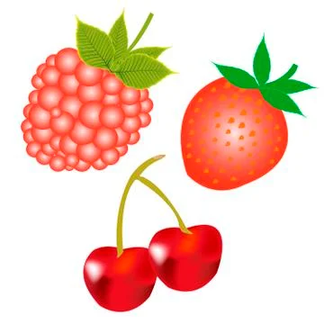Red berries Stock Illustration
