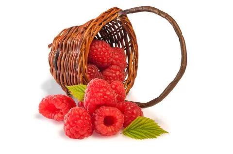 Red Berries Stock Photos