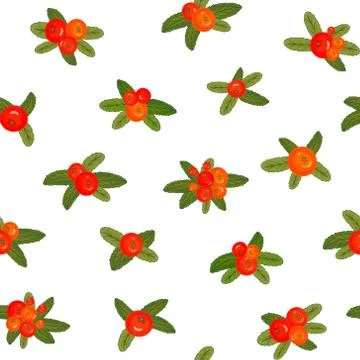 Red berries seamless pattern Stock Illustration