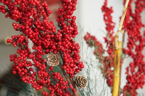 Red berry branches and pine cones create a simple indoor display Stock Photos